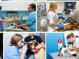 Tierarztpraxis