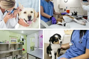 Tierarztpraxis